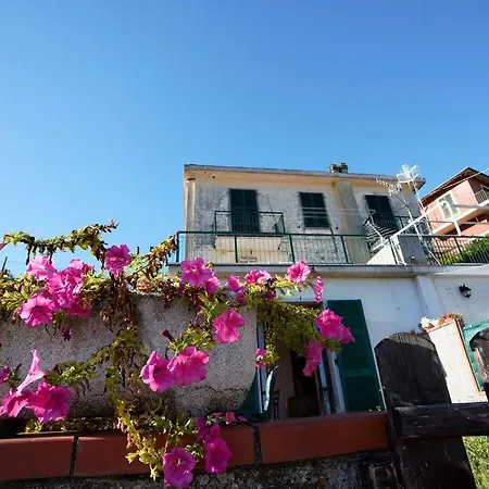 アパート Cinque Terre Terrace *